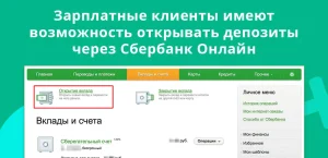 depozity-v-sberbanke-vidy-preimushhestva-i-kak-vybrat-podhodjashhij-variant